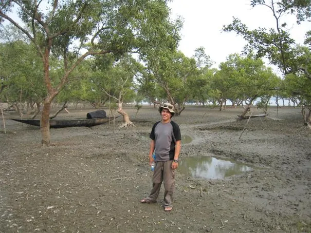 Our first glimpse of the mangrove forest, the Sunderbans.