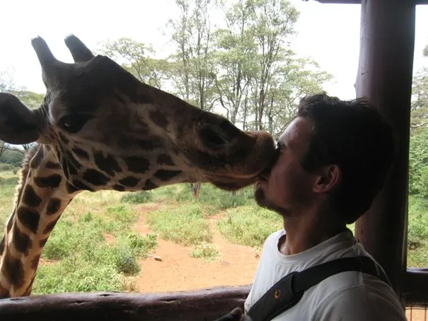 Glen being french kissed by a giraffe