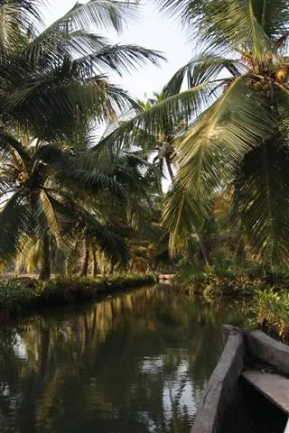 The canoe backwater tour, Kollam