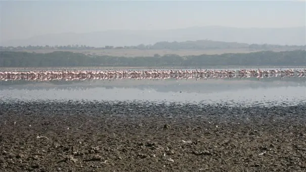 37-IMG_9540