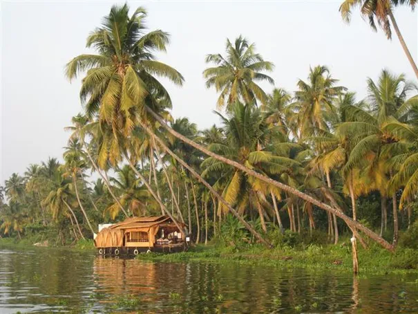A typical view from the houseboat, Alleppey