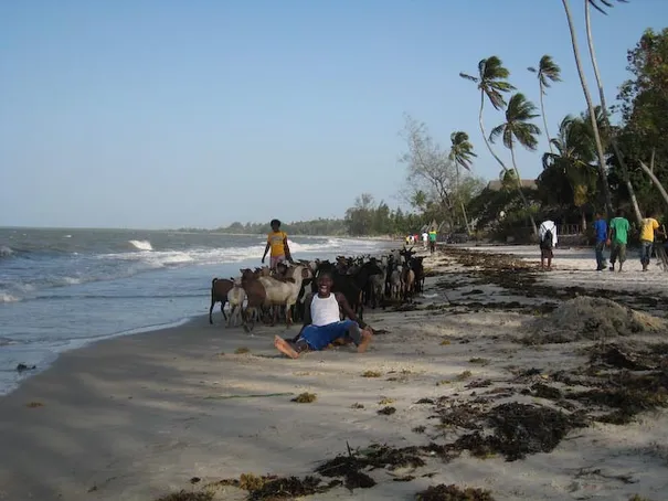 We spent many hours at the beach 15-mins walk from our house