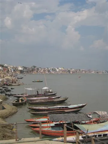 IMG_3961.jpg