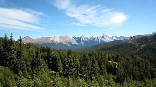 Breaking out of the trees on the Skyline trail, Jasper National Park