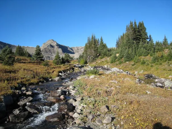 Some of the typical scenery on the Skyline trail. Most of it was above the treeline, Jasper National Park
