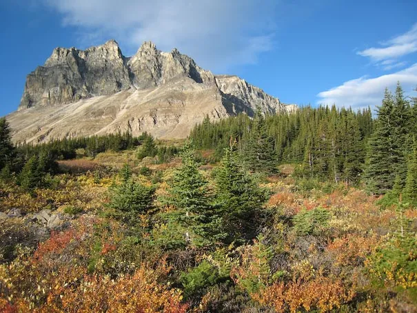 More amazing scenery on the Skyline trail, Jasper National Park