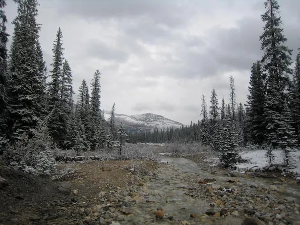 The Iceline trail, Yoho National Park