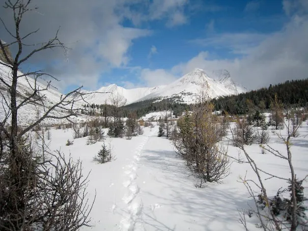 More trailblazing through the snow in the Skoki Valley, Banff National Park