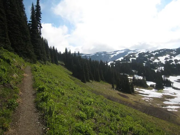 The picturesque trail heading towards Panorama Ridge (the peak on the right)