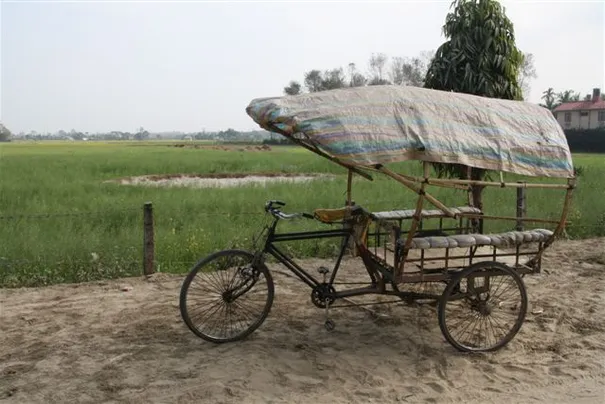 Some more scenes from Chitwan