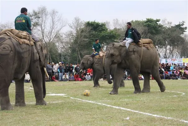Elephant Soccer! We were lucky enough to be in Chitwan for the Elephant Race/Soccer Festival.