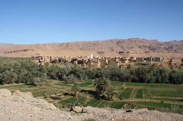 The lush palmeraies dotted with kasbahs, Tinerhir.