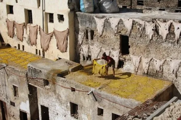 One of the workers laying out the skins to dry, Fes