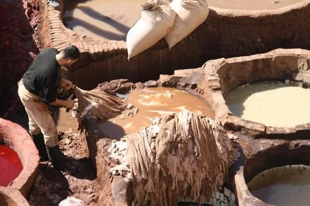 Another typical scene of the Tanneries, Fes