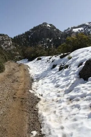 Reaching the snow line in the Rif mountains, Chefchaouen.