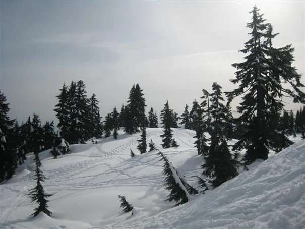 Picturesque scenes from our snow shoeing adventure.