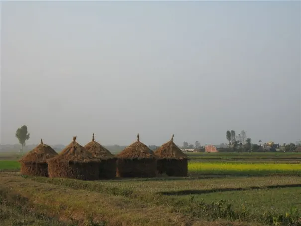 One of the many picturesque views surrounding Chitwan