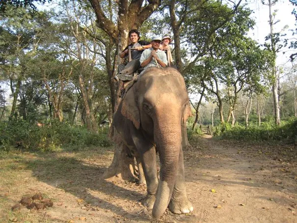 Glen and Robs starting out on their elephant safari in search of the one horned rhino, Chitwan National Park