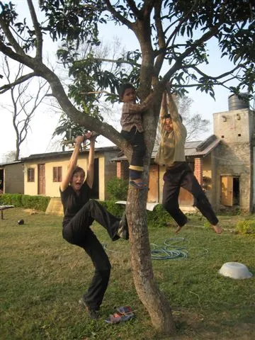 Monkeys in a tree. Hanging out with the kids at the orphanage in Chitwan