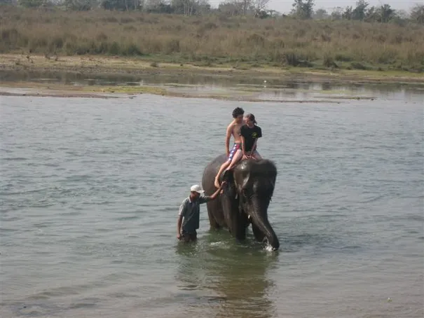 Elephant bathing time in Chitwan National Park