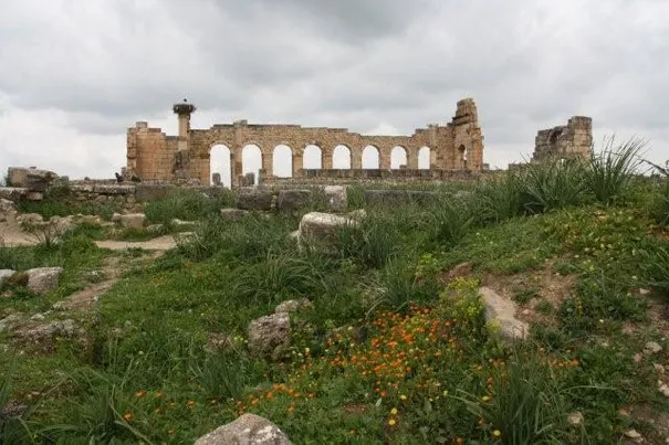 More from Volubilis, Meknes.
