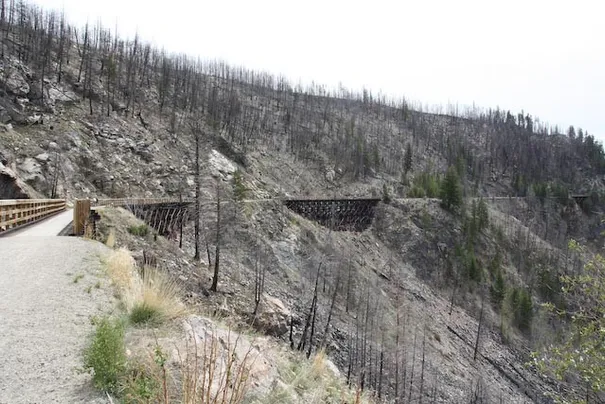 More trestles. The landscape is still recovering from a fire 5 years ago.
